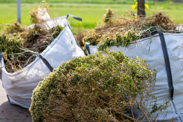 Best Professional Junk Removal  in Fairview, TN